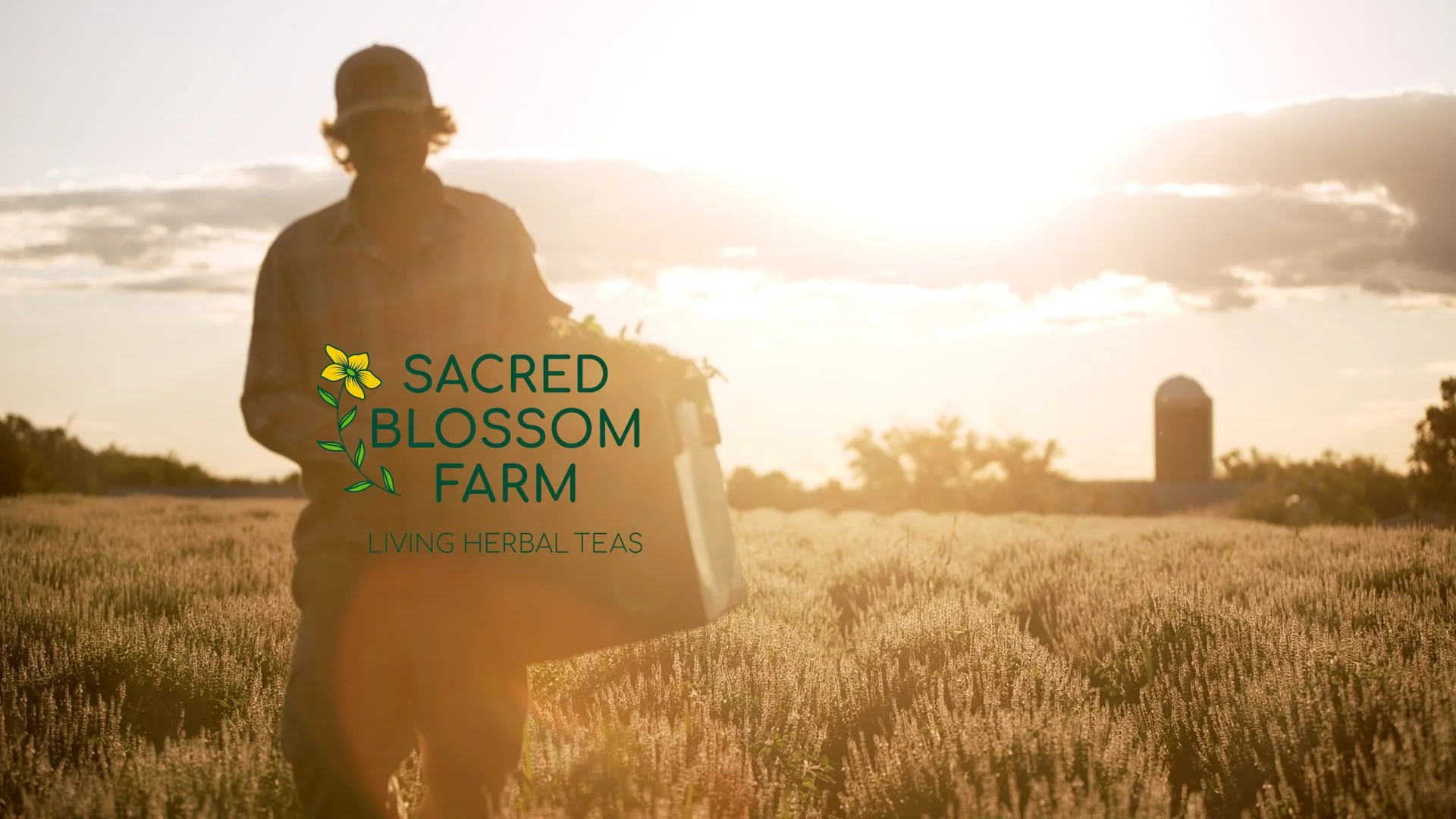 Raw Honey From Our Medicinal Herb Farm — Sacred Blossom Farm